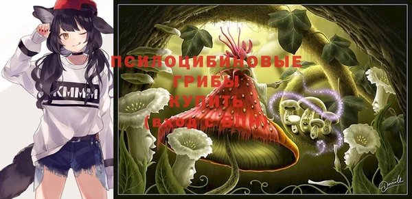 гашик Алексеевка
