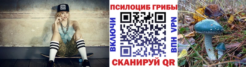 где купить   Усинск  МЕГА зеркало  Псилоцибиновые грибы ЛСД 